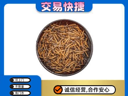 汕头南澳县回收散虫草